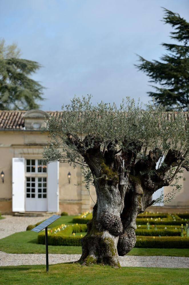 Chateau Fombrauge Saint-Christophe-des-Bardes Bagian luar foto